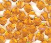 25 Topaz 6mm Bicone Swarovski